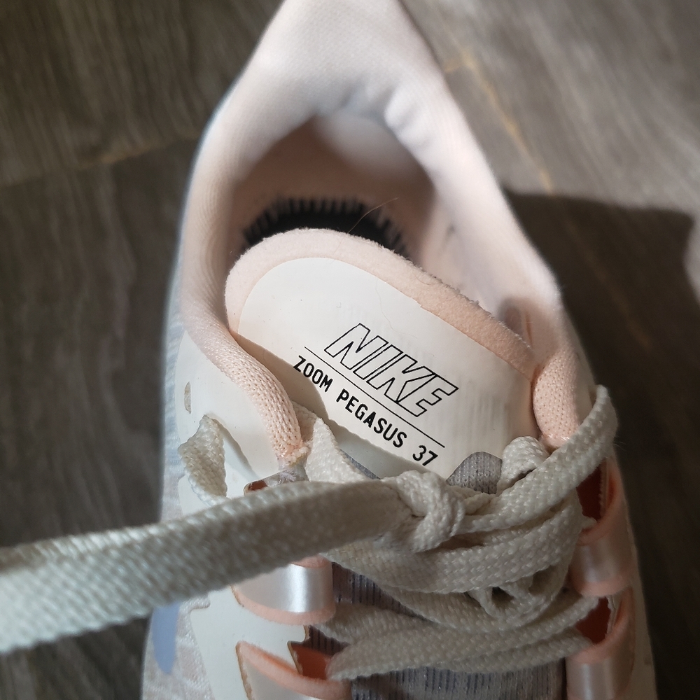 Nike Pegasus shoes